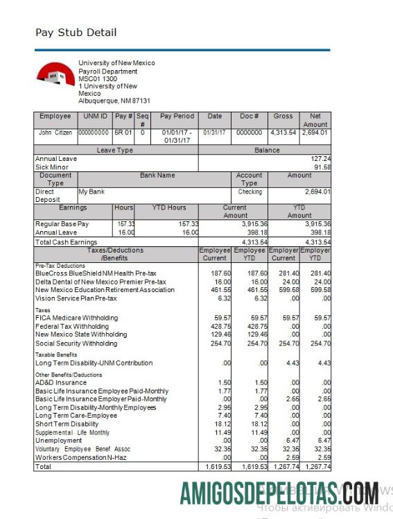 Recibo de pagamento da Universidade do Novo México em formatos Word e PDF exemplo real